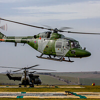 Buy canvas prints of AAC Lynx on SPTA by Oxon Images