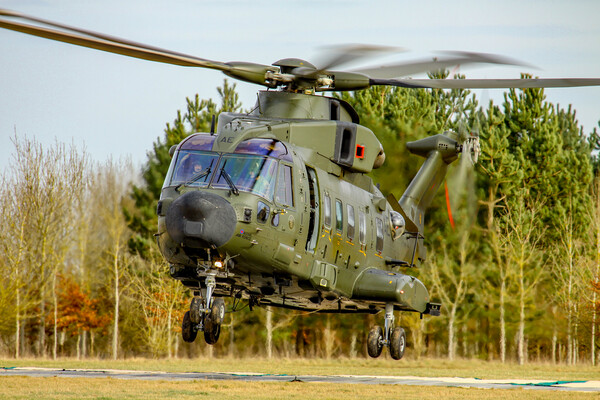 RAF Merlin Picture Board by Oxon Images
