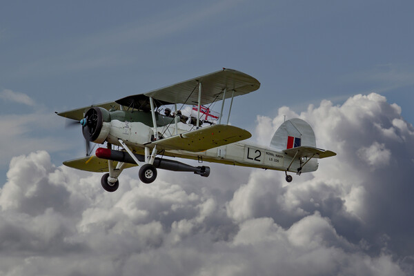 Royal Navy Swordfish Picture Board by Oxon Images