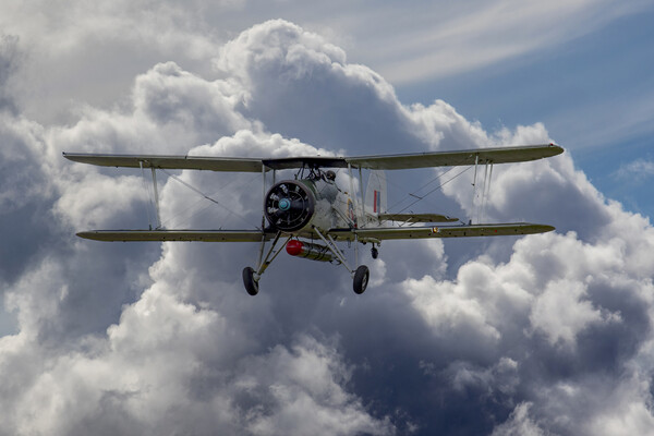 Royal Navy Swordfish 2 Picture Board by Oxon Images