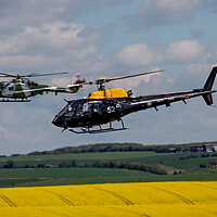 Buy canvas prints of AAC Lynx and Squirrel Helicopter by Oxon Images
