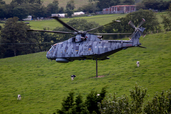 Royal Navy Striped Merlin Picture Board by Oxon Images