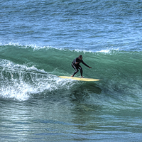 Buy canvas prints of  Surfer at Polzeath by David Wilkins