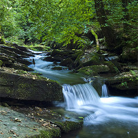 Buy canvas prints of St Nectans Glen by David Wilkins