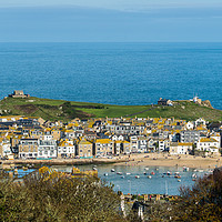 Buy canvas prints of St Ives Harbour by David Wilkins