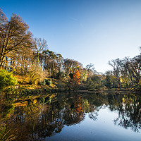 Buy canvas prints of The Lake at Pencarrow House by David Wilkins