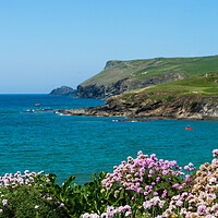 Buy canvas prints of Cornwall Sea Thrift by David Wilkins