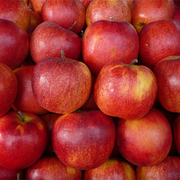 Buy canvas prints of red group of apples by Laszlo Slezak