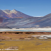 Buy canvas prints of Atacama Salt Lakes Panorama by David Hare