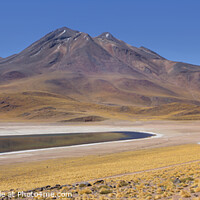 Buy canvas prints of Laguna Miñiques, Atacama Desert by David Hare