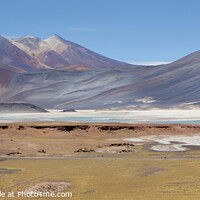 Buy canvas prints of Atacama Panorama by David Hare