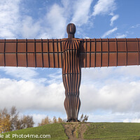 Buy canvas prints of Angel of the North panorama by David Hare