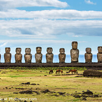 Buy canvas prints of Moai of Easter Island by David Hare