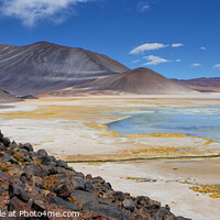 Buy canvas prints of Atacama salt lake by David Hare