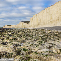 Buy canvas prints of Beachy Head White Cliffs by David Hare
