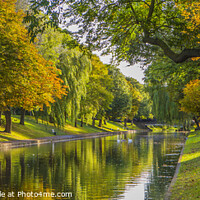 Buy canvas prints of Royal Military Canal, Hythe. by David Hare