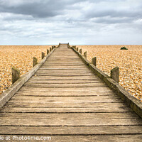 Buy canvas prints of Wooden Walkway by David Hare