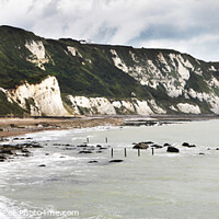 Buy canvas prints of White Cliffs by David Hare