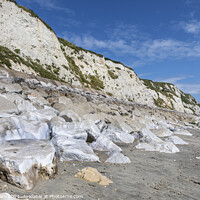 Buy canvas prints of The White Cliffs at Folkestone Warren. by David Hare