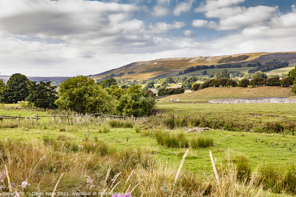 Yorkshire Dales Picture Board by David Hare