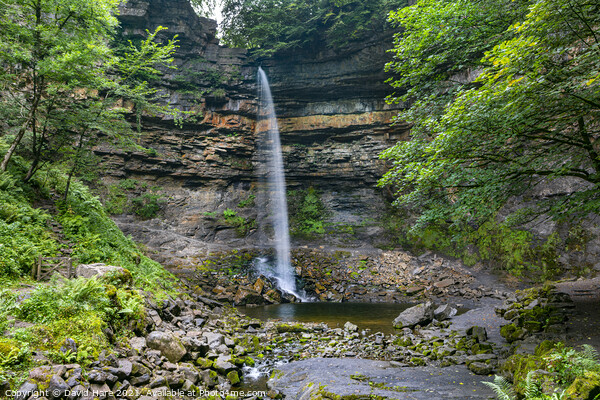 Hardraw Force Picture Board by David Hare