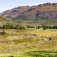 Buy canvas prints of Hardknott Pass by David Hare