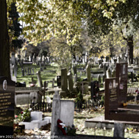 Buy canvas prints of Kensal Green Cemetery by David Hare