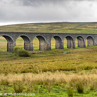 Buy canvas prints of Dandrymire viaduct. by David Hare