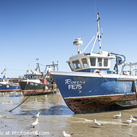 Buy canvas prints of Folkestone Harbour by David Hare