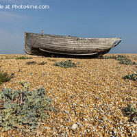 Buy canvas prints of Dungeness boat by David Hare
