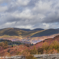 Buy canvas prints of Lake District cumbria by David Hare