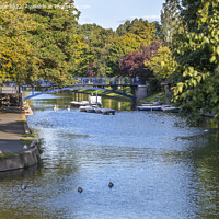 Buy canvas prints of Royal Military Canal, Hythe. by David Hare