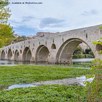 Buy canvas prints of Pont Vieux by David Hare