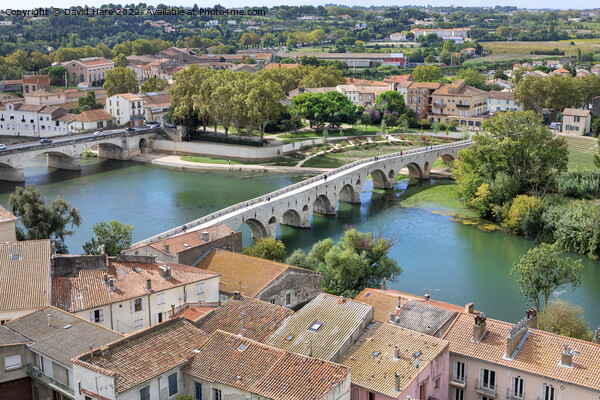 Pont Vieux, Beziers Picture Board by David Hare