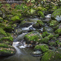 Buy canvas prints of Padley Gorge by David Hare