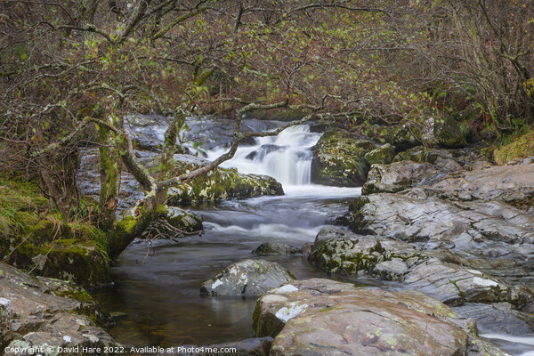 Aira High Force Waterfall Picture Board by David Hare
