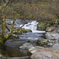 Buy canvas prints of Aira High Force Waterfall by David Hare