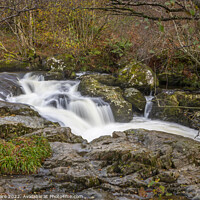Buy canvas prints of Aira High Force Waterfall by David Hare