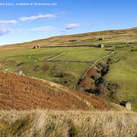 Buy canvas prints of Stonesdale Banty Barns by David Hare