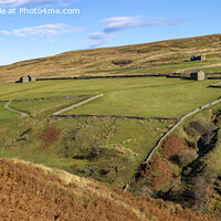 Buy canvas prints of Stonesdale Banty Barns by David Hare