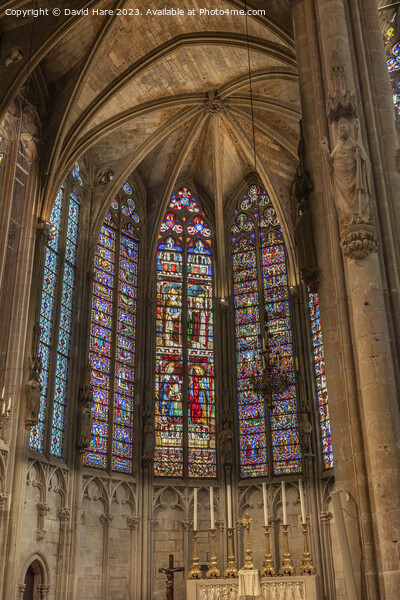 Basilique Saint Nazaire Picture Board by David Hare