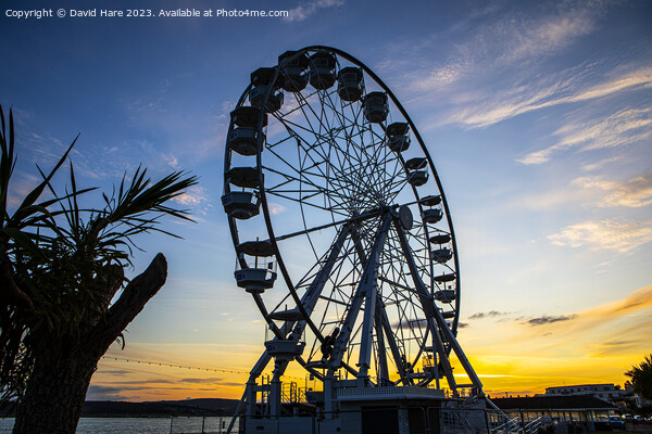 Exmouth Ferris Wheel Picture Board by David Hare