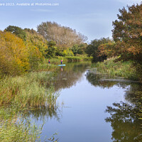 Buy canvas prints of Royal Military Canal by David Hare
