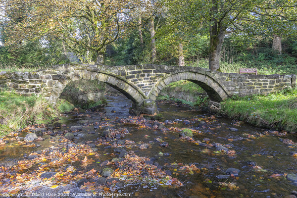 Wycoller Packhorse bridge Picture Board by David Hare