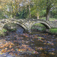 Buy canvas prints of Wycoller Packhorse bridge by David Hare