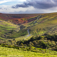 Buy canvas prints of Moorland Farm by David Hare