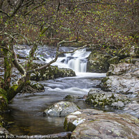 Buy canvas prints of Aira High Force by David Hare
