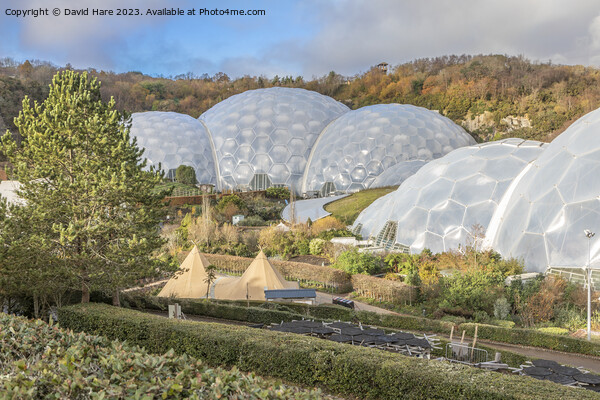 Eden Project Picture Board by David Hare