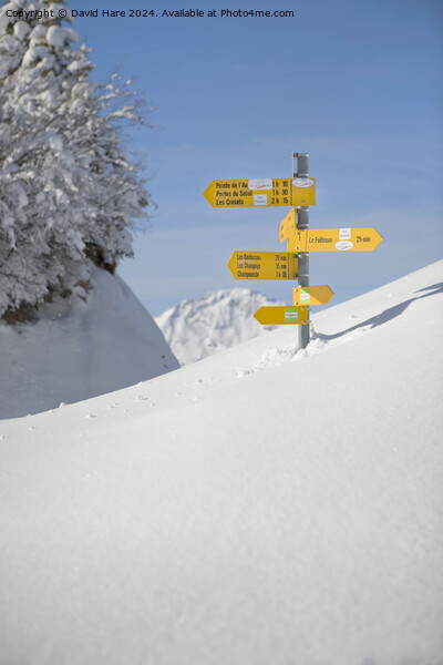 Piste Signs Picture Board by David Hare