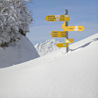 Buy canvas prints of Piste Signs by David Hare